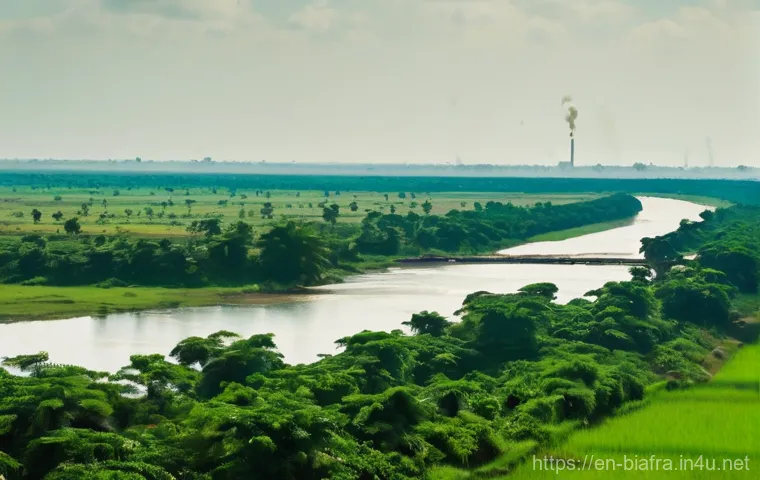 비아프라 독립운동과 나이지리아 헌법 - **Prompt:** An elderly, respected Nigerian traditional ruler, dressed in elegant but modest traditio...